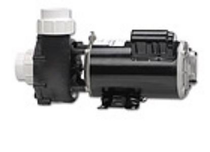 06130000: Pump, Aqua-Flo FMXP2, 3.0HP, SD, 48-Frame, 2-Speed, 230V, 13.1/3.3A, 2"MBT, Includes Unions