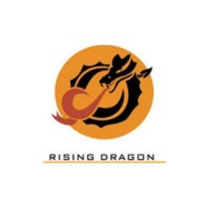 Picture for manufacturer Rising Dragon